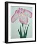 Tanka No-Koe Book of a Pink Iris-Stapleton Collection-Framed Giclee Print