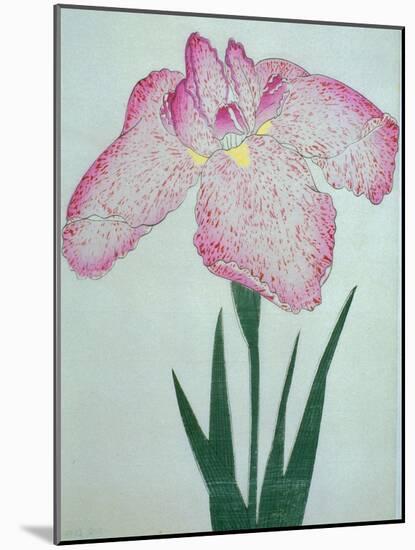 Tanka No-Koe Book of a Pink Iris-Stapleton Collection-Mounted Giclee Print