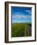 Tankardstown Copper Mine, Copper Coast, County Waterford, Ireland-null-Framed Photographic Print