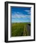 Tankardstown Copper Mine, Copper Coast, County Waterford, Ireland-null-Framed Photographic Print