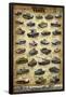 Tanks of WWII Educational Poster-null-Framed Poster