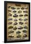 Tanks of WWII Educational Poster-null-Framed Poster