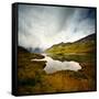 Tannensee-Philippe Sainte-Laudy-Framed Stretched Canvas