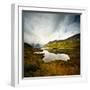 Tannensee-Philippe Sainte-Laudy-Framed Photographic Print