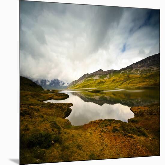 Tannensee-Philippe Sainte-Laudy-Mounted Photographic Print