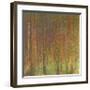 Tannenwald II-Gustav Klimt-Framed Giclee Print