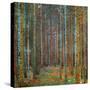 Tannenwald (Pine Forest), 1902-Gustav Klimt-Stretched Canvas
