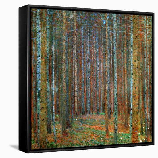 Tannenwald (Pine Forest), 1902-Gustav Klimt-Framed Stretched Canvas