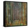 Tannenwald (Pine Forest), 1902-Gustav Klimt-Framed Stretched Canvas