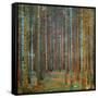 Tannenwald (Pine Forest), 1902-Gustav Klimt-Framed Stretched Canvas