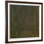 Tannenwald (Pine Forest), 1902-Gustav Klimt-Framed Giclee Print