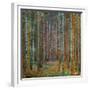 Tannenwald (Pine Forest), 1902-Gustav Klimt-Framed Giclee Print