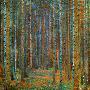 Tannenwald (Pine Forest), c.1902-Gustav Klimt-Stretched Canvas