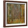 Tannenwald (Pine Forest), c.1902-Gustav Klimt-Framed Premium Giclee Print