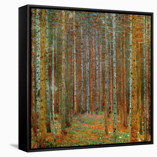 Tannenwald (Pine Forest), c.1902-Gustav Klimt-Framed Stretched Canvas