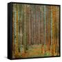 Tannenwald (Pine Forest), c.1902-Gustav Klimt-Framed Stretched Canvas