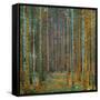 Tannenwald (Pine Forest), c.1902-Gustav Klimt-Framed Stretched Canvas