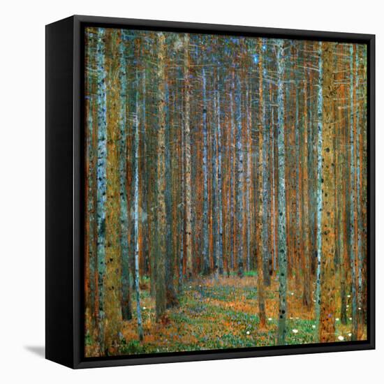 Tannenwald (Pine Forest), c.1902-Gustav Klimt-Framed Stretched Canvas