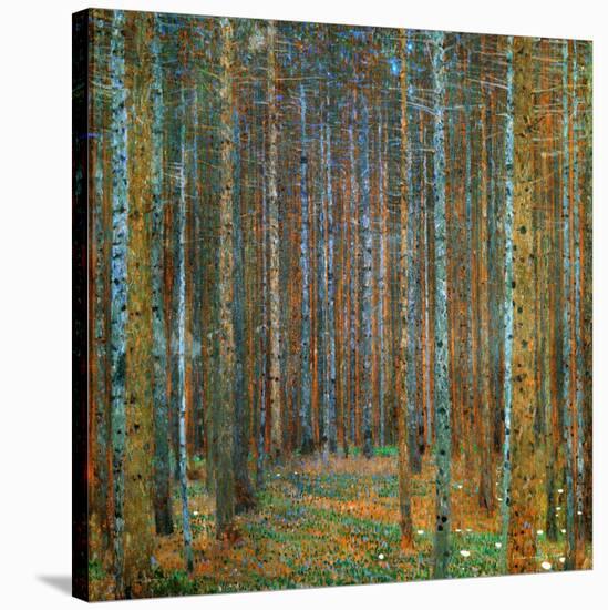 Tannenwald (Pine Forest), c.1902-Gustav Klimt-Stretched Canvas