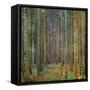 Tannenwald (Pine Forest), c.1902-Gustav Klimt-Framed Stretched Canvas