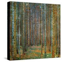 Tannenwald (Pine Forest), c.1902-Gustav Klimt-Stretched Canvas