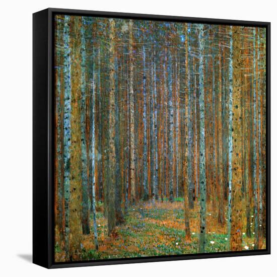 Tannenwald (Pine Forest), c.1902-Gustav Klimt-Framed Stretched Canvas