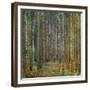 Tannenwald (Pine Forest), c.1902-Gustav Klimt-Framed Premium Giclee Print