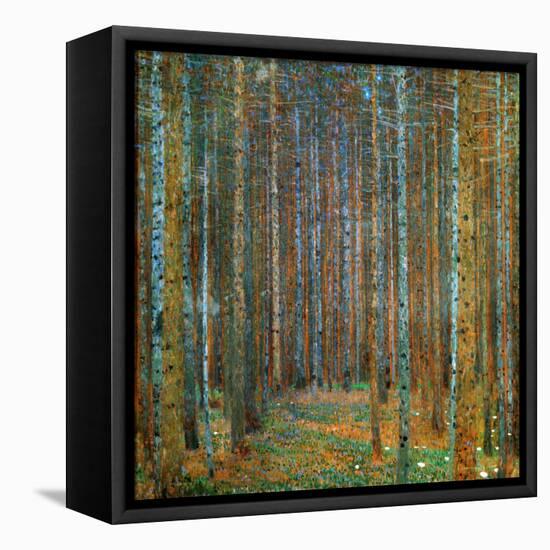 Tannenwald (Pine Forest), c.1902-Gustav Klimt-Framed Stretched Canvas