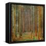 Tannenwald (Pine Forest), c.1902-Gustav Klimt-Framed Stretched Canvas