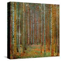 Tannenwald (Pine Forest), c.1902-Gustav Klimt-Stretched Canvas