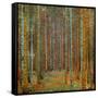 Tannenwald (Pine Forest), c.1902-Gustav Klimt-Framed Stretched Canvas