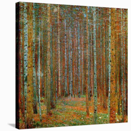 Tannenwald (Pine Forest), c.1902-Gustav Klimt-Stretched Canvas