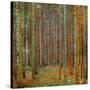 Tannenwald (Pine Forest), c.1902-Gustav Klimt-Stretched Canvas