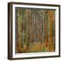 Tannenwald (Pine Forest), c.1902-Gustav Klimt-Framed Premium Giclee Print