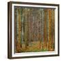 Tannenwald (Pine Forest), c.1902-Gustav Klimt-Framed Premium Giclee Print