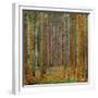 Tannenwald (Pine Forest), c.1902-Gustav Klimt-Framed Premium Giclee Print