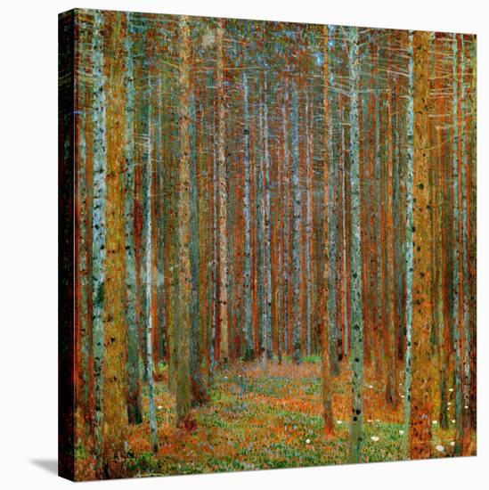 Tannenwald (Pine Forest), c.1902-Gustav Klimt-Stretched Canvas