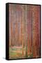Tannenwald-Gustav Klimt-Framed Stretched Canvas