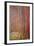 Tannenwald-Gustav Klimt-Framed Art Print
