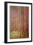 Tannenwald-Gustav Klimt-Framed Art Print