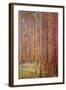 Tannenwald-Gustav Klimt-Framed Art Print