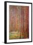 Tannenwald-Gustav Klimt-Framed Art Print