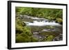 Tanner Creek, Columbia River Gorge National Scenic Area, Oregon, USA-Jamie & Judy Wild-Framed Photographic Print