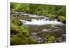 Tanner Creek, Columbia River Gorge National Scenic Area, Oregon, USA-Jamie & Judy Wild-Framed Photographic Print