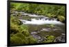 Tanner Creek, Columbia River Gorge National Scenic Area, Oregon, USA-Jamie & Judy Wild-Framed Photographic Print