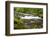 Tanner Creek, Columbia River Gorge National Scenic Area, Oregon, USA-Jamie & Judy Wild-Framed Photographic Print