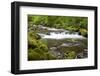 Tanner Creek, Columbia River Gorge National Scenic Area, Oregon, USA-Jamie & Judy Wild-Framed Photographic Print