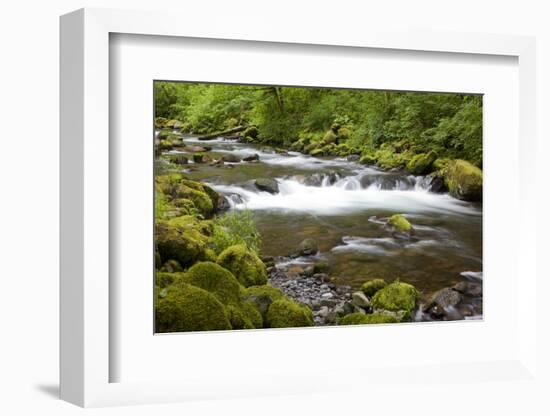 Tanner Creek, Columbia River Gorge National Scenic Area, Oregon, USA-Jamie & Judy Wild-Framed Photographic Print