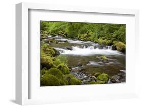 Tanner Creek, Columbia River Gorge National Scenic Area, Oregon, USA-Jamie & Judy Wild-Framed Photographic Print