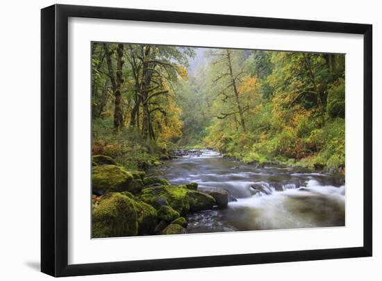 Tanner Creek, Columbia River Gorge, Oregon, USA-Jamie & Judy Wild-Framed Photographic Print